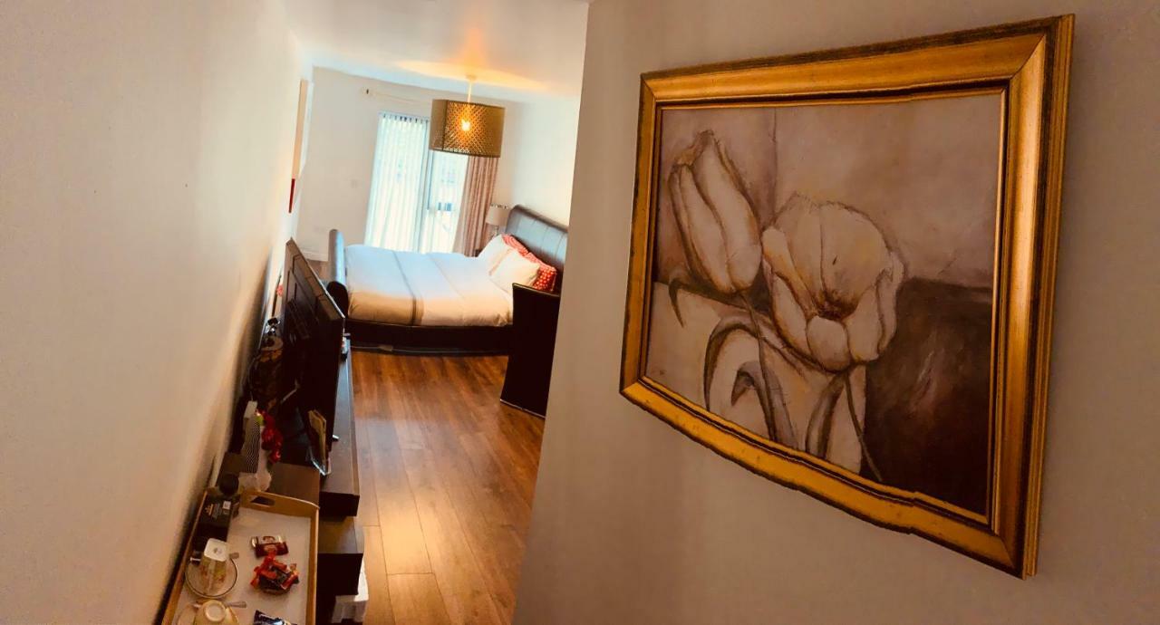 Dunboyne Castle Guest Apartment Ngoại thất bức ảnh